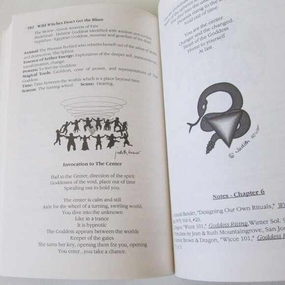 Wild Witches Don't Get The Blues Paperback Book Ffiona Morgan Wicca 1991 - Picture 7 of 9